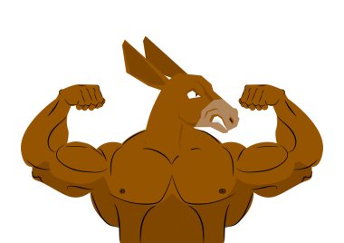 Vahşi güçlü eşek atlet. Agresif fitness hayvan. Vahşi anim