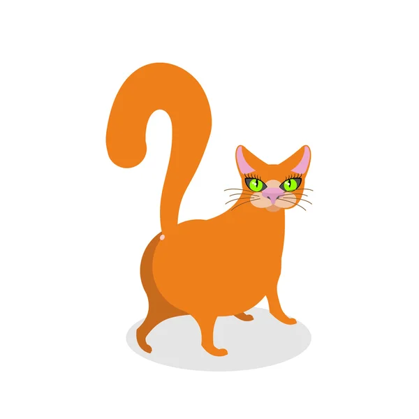 Vörös macska seggét. Boldog kisállat. Vastag állat-vissza — Stock Vector