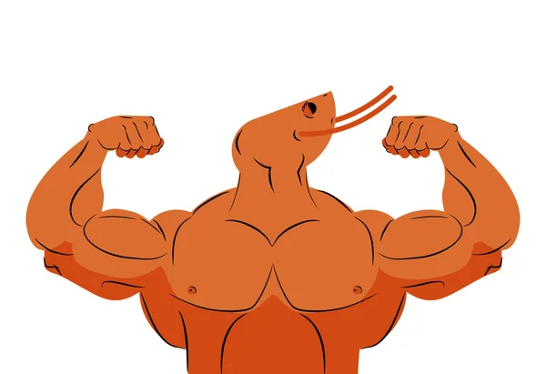 Δυνατοί αθλητές γαρίδες. Γυμναστική θαλάσσιο ζώο αθλητής με τεράστια m — Διανυσματικό Αρχείο