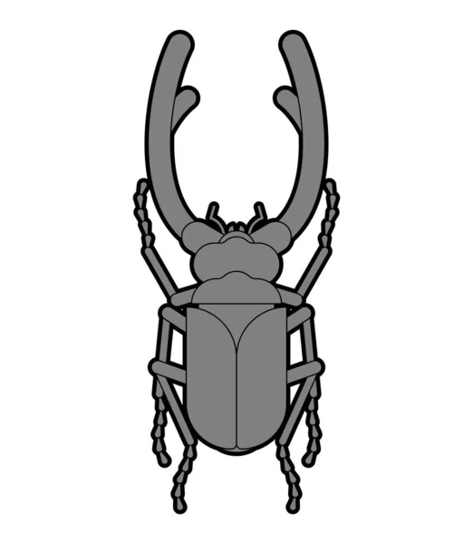 Stag Beetle Isolated Beetle Large Mandibles — Stockvector