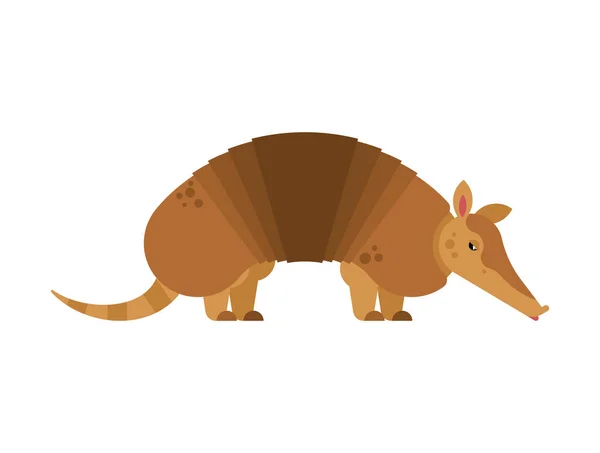 Armadillo Isolé Illustration Vectorielle Armure Animale — Image vectorielle