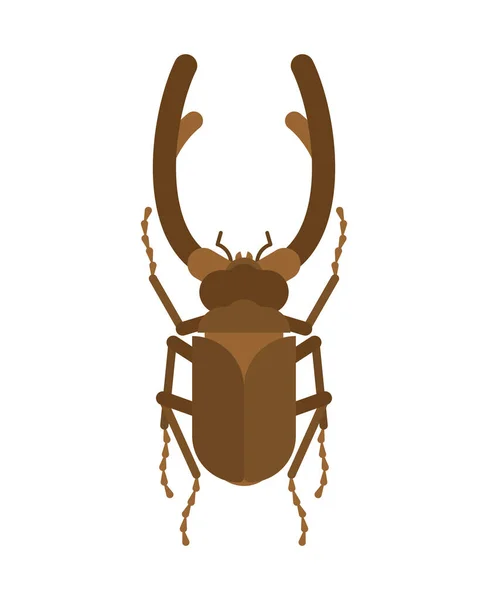 Stag Beetle Isolated Beetle Large Mandibles — Stockvector