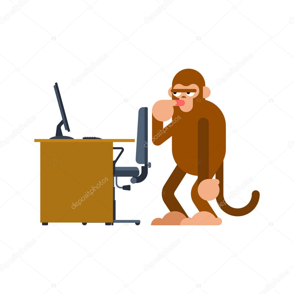 Monkey and PC. Ape man and computer. Monkey think
