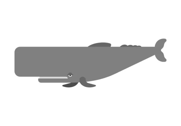 Baleine Spermatozoïdes Isolée Cachalot Grande Baleine Vecteur Illustration — Image vectorielle