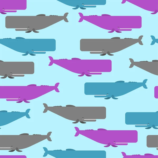 ปลาวาฬอส รอยต นหล งปลาวาฬคาตาลอตขนาดใหญ เคร องประด าเด — ภาพเวกเตอร์สต็อก