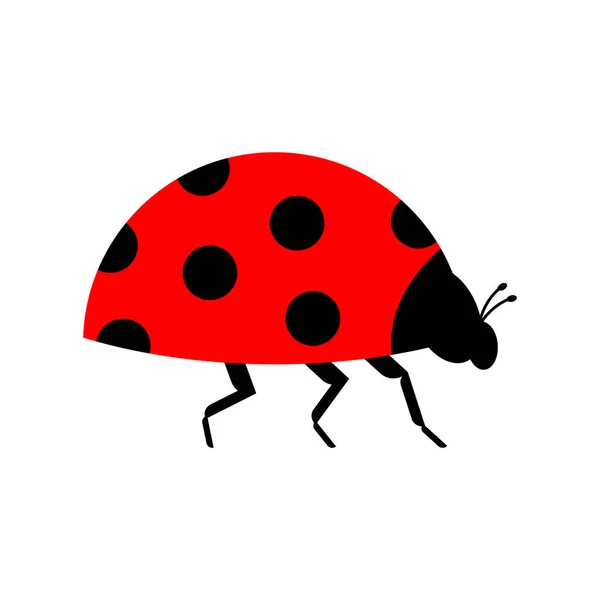 Mariquita Aislada Pequeño Insecto Rojo Escarabajo Vector Ilustración — Archivo Imágenes Vectoriales