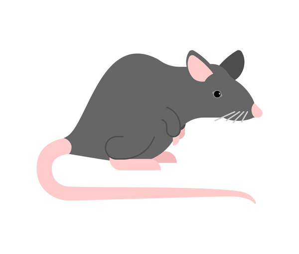 Серая мышь изолирована. Векторная иллюстрация серых мышей