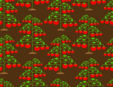 Domates kılları pürüzsüz. Domates arka planı. vektör dokusu