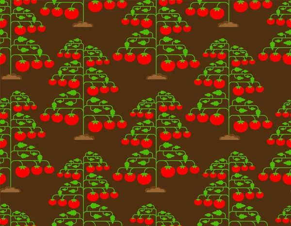 Tomato Bush Pattern Seamless Tomatos Background Vector Texture — Wektor stockowy
