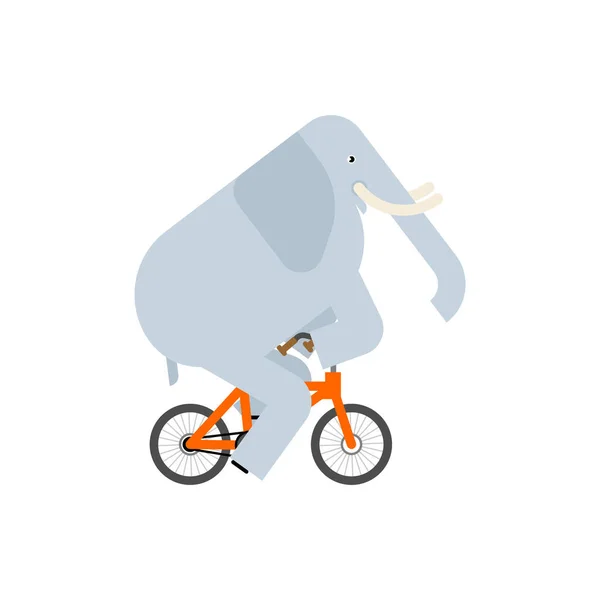 Éléphant Vélo Animal Est Vélo Illustration Dessins Animés Pour Enfants — Image vectorielle