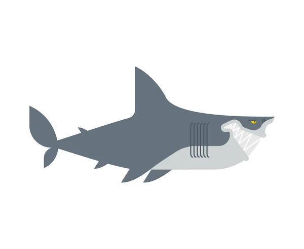 Killer Shark Isolated Sea Predator Big Fish Monster Vector Illustration — Stock Vector