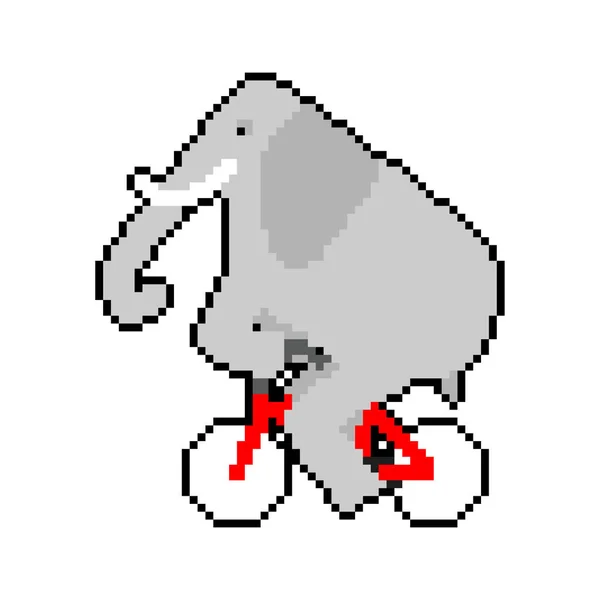 Слон Велосипедных Пикселях Пикселизированное Животное Едет Велосипеде Иллюстрация Битного Мультфильма — стоковый вектор