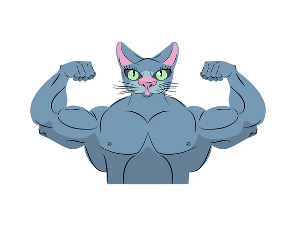 Stark katt. Power djur bodybuilder. PET med stora muskler. EMBL — Stock vektor