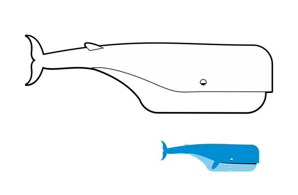 Libro da colorare per capodoglio. Illustrazione vettoriale balena azzurra — Vettoriale Stock