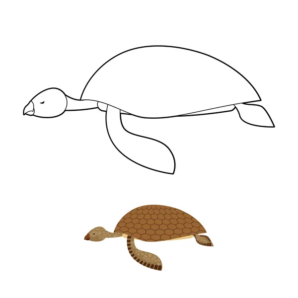 Water turtle coloring book. Marine animal with shell. Vector ill — Stok Vektör