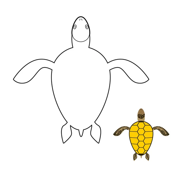 Livre à colorier tortue. Reptiles marins. Illustration vectorielle — Image vectorielle