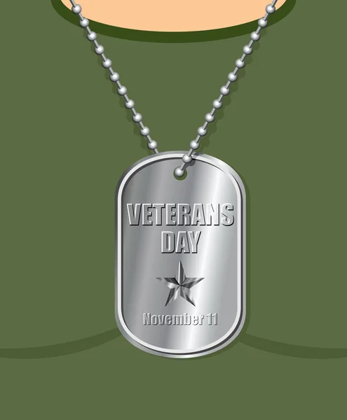 Veterans Day. Military Medallion from soldier in neck. Soldiers — Stock Vector