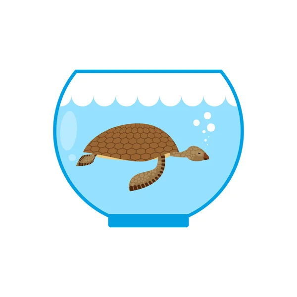 Deniz kaplumbağası bir akvaryum. Su hayvan evcil hayvan tutsak. — Stok Vektör