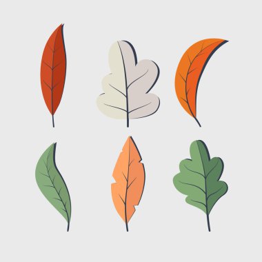 Graphic of Set flat design colourful autumn leaves vector illustration