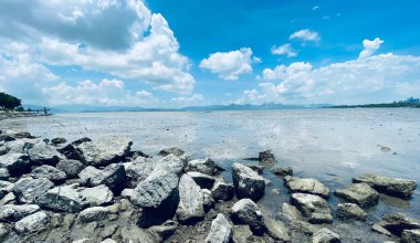 This is a photo of a tidal flat taken in Shenzhen Bay Park. The weather is good and the sky is blue.