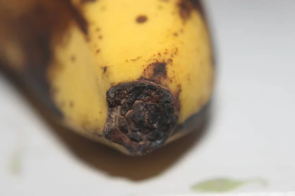バナナの首の写真 — ストック写真