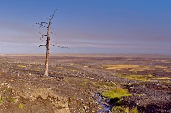 Metal üretim fabrikasının çalışmalarının sonuçları