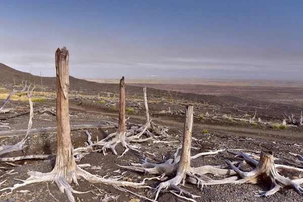     Metal üretim fabrikasının çalışmalarının sonuçları