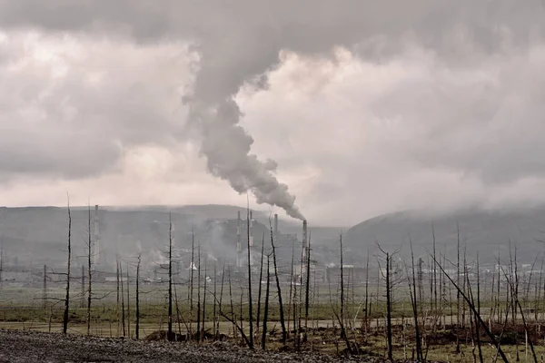 İnsan eylemlerinin çevre üzerindeki sonuçları 