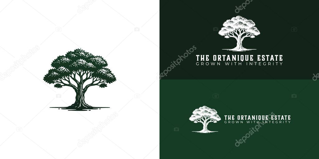 A simple, green tree logo representing Jamaican agriculture. The strong, grounded design represents reliability and quality. This clean, modern icon is perfect for a mixed-crop farm focused on export.