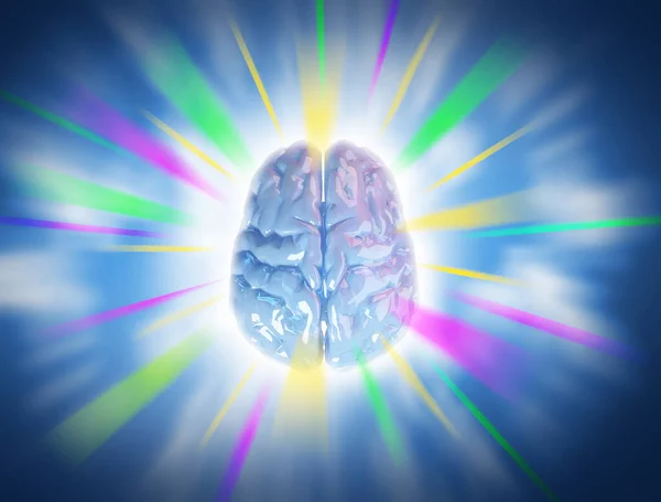Human Brain Intelligence Creativity Genius Widok Góry Żywe Niebieskie Tło — Zdjęcie stockowe