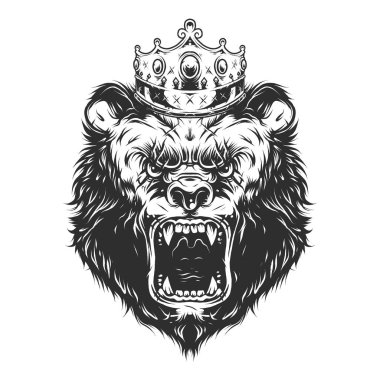Kraliyet monokrom tarzı izole edilmiş vektör illüstrasyonlu klasik sinirli ayı kafası. 