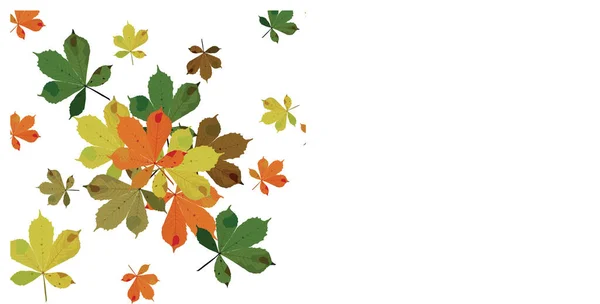 Σωρός Από Πολύχρωμα Φθινοπωρινά Φύλλα Κάστανου Απρόσκοπτο Μοτίβο Εικονογράφηση Διανύσματος — Διανυσματικό Αρχείο