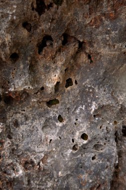 Karmaşık oyukları olan aşınmış kayalar, yıpranmış mineral oluşumlarını yakından izleyen jeologlar.