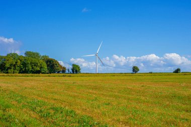 Parlak Gökyüzü Altındaki Ağaçların Arkasında Rüzgar Türbini Yükseliyor, Çayırdaki Sıcak Işık Sessiz İlerlemeyi ve Sürdürülebilir Kırsal Dayanıklılığı Hatırlıyor