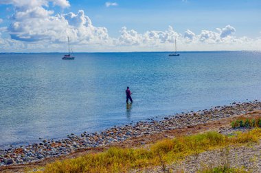 Rocky Sahili 'nin yakınındaki sığ kıyı sularında yüzen kişi, Denizaltıların Ötesindeki Sakin Deniz' e doğru yol alan Güneşli Bulutlu Gök Yaratan