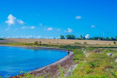 Huzurlu sahil otlağı. Koyunlu sakin kıyı manzarası. Huzurlu Sahil Hattı Sahnesi Otlayan Koyun ve Sakin Sular
