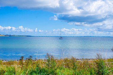 Sakin Sahil Kıyı Koyu 'na bakan otlak önü Uzak Yelkenli ve Yumuşak Ufuk, Vahşi Çayır Çerçevesi Huzur Sahası Sahnesi Mükemmel