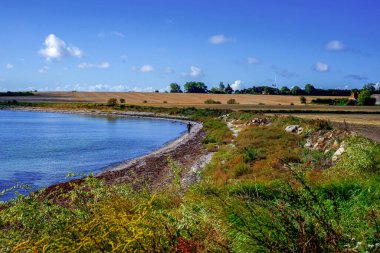 Kavisli Rocky Shoreline, Sakin Mavi Su, Rüzgârlı Çimenler ve Yabani Çiçekler, Horizon 'daki Uzak Çiftlikler, Dağınık Bulutlu Parlak Yaz Gökyüzü,