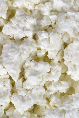 Cottage Cheese Sağlıklı Gıda 'nın yakın dokusu, Krem ve Granüller' in dar çerçevesi, Nemli Gözenekli Yüzey, Stüdyo Işığı İnceleme Detayları,