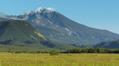 Dağdaki bir çayırda güneşli bir gün.