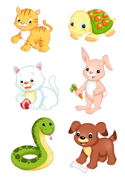 Various animals, 2 — Stock Photo, Image