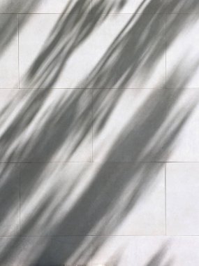 Gri duvardaki ışık ve gölge