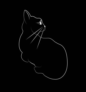 Bir şeyi merak eden sevimli bir kedinin resmi, siyah bir arka planda izole edilmiş.