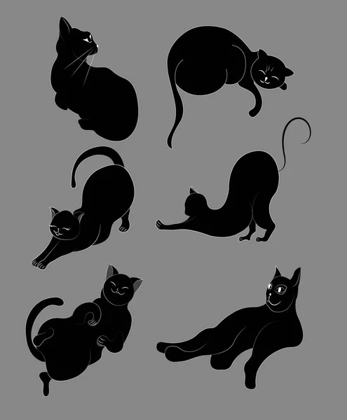 ภาพของแมวหลายต วในหลายต าแหน กแยกจากพ นหล เทา — ภาพถ่ายสต็อก