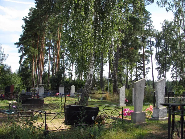 Árboles Altos Pequeño Cementerio Del Pueblo —  Fotos de Stock