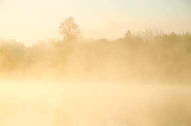 sabah sis. göl çevresinde huş ağacı büyümeye .