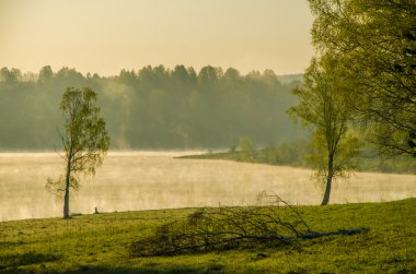 sabah sis. göl çevresinde huş ağacı büyümeye .