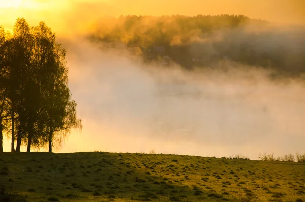 Brouillard matinal. autour du lac poussent bouleau  . — Photo