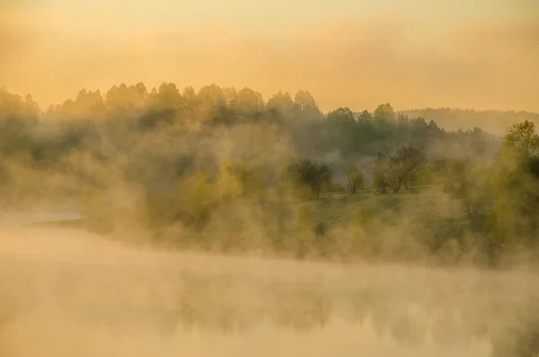 Morning fog. around the lake grow birch . — Stock Photo, Image