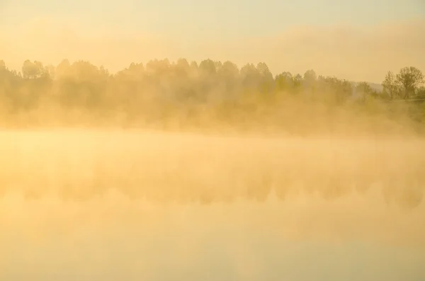 Morgennebel. rund um den See wachsen Birken . — Stockfoto